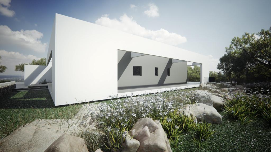 רוס הדמיות רוס הדמיות