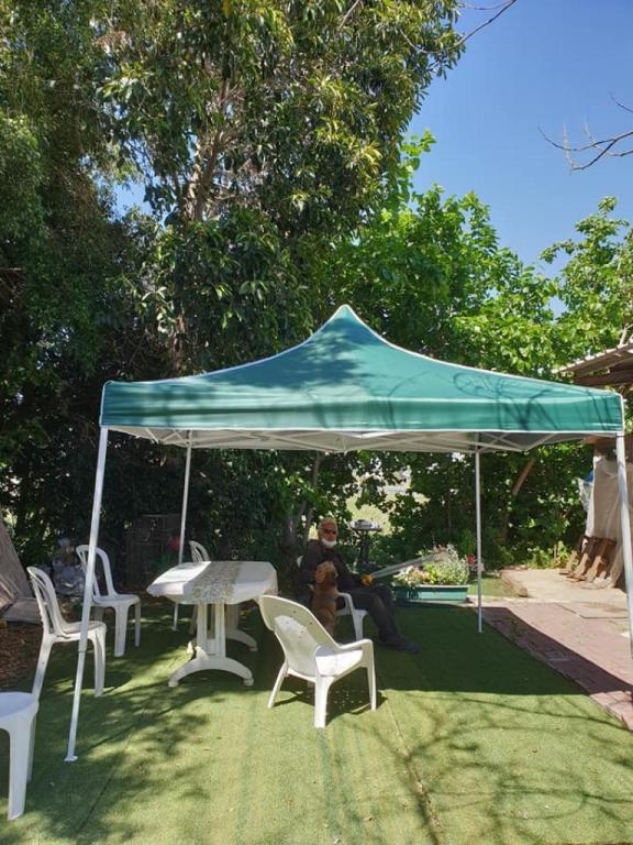 מרפאה וטרינרית ד"ר ישראל הייגני מרפאה וטרינרית ד"ר ישראל הייגני