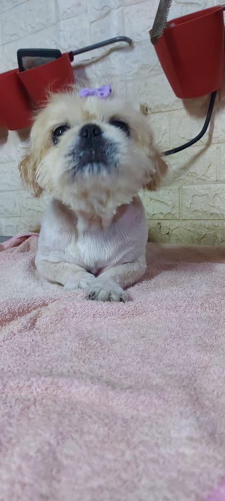 חי בעמק חי בעמק