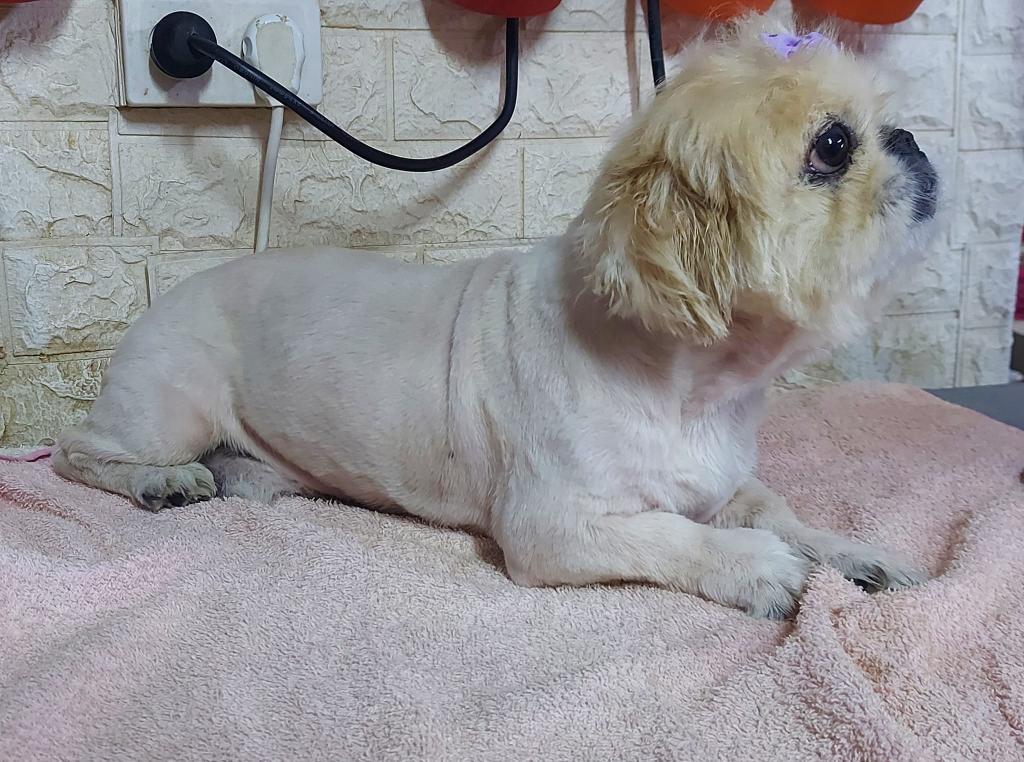 חי בעמק חי בעמק