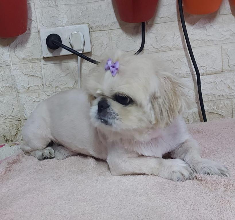 חי בעמק חי בעמק