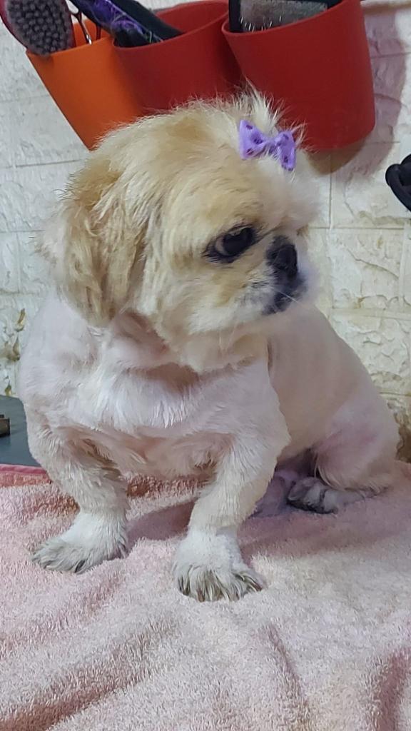 חי בעמק חי בעמק