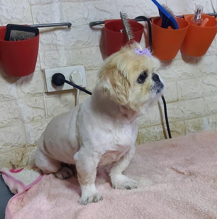 חי בעמק חי בעמק