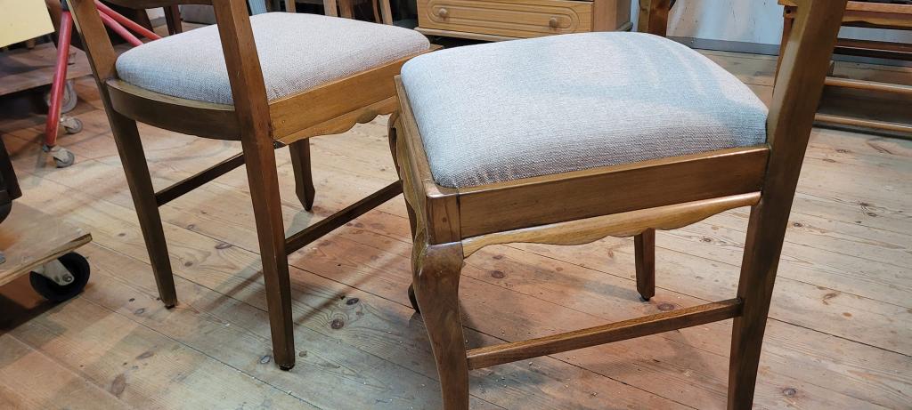 מראה חדש לעץ ישן מראה חדש לעץ ישן