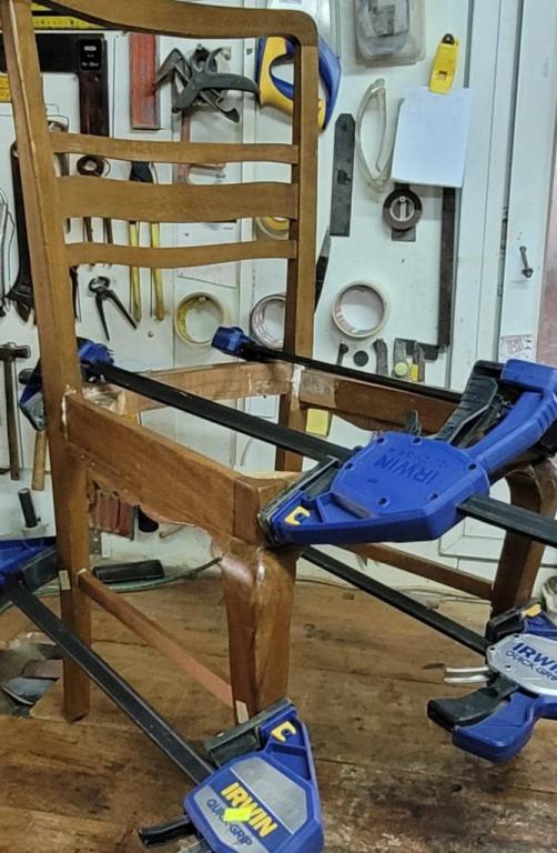 מראה חדש לעץ ישן מראה חדש לעץ ישן