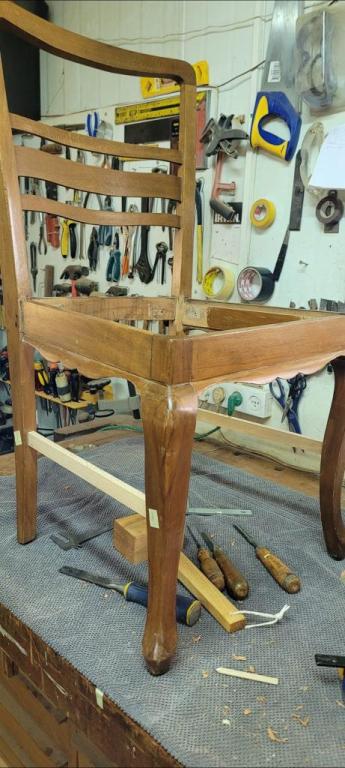 מראה חדש לעץ ישן מראה חדש לעץ ישן