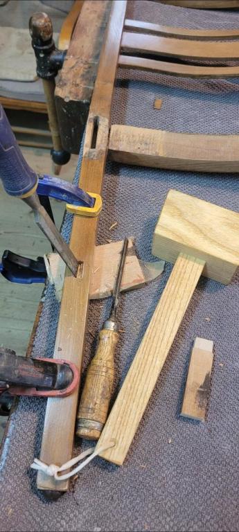 מראה חדש לעץ ישן מראה חדש לעץ ישן