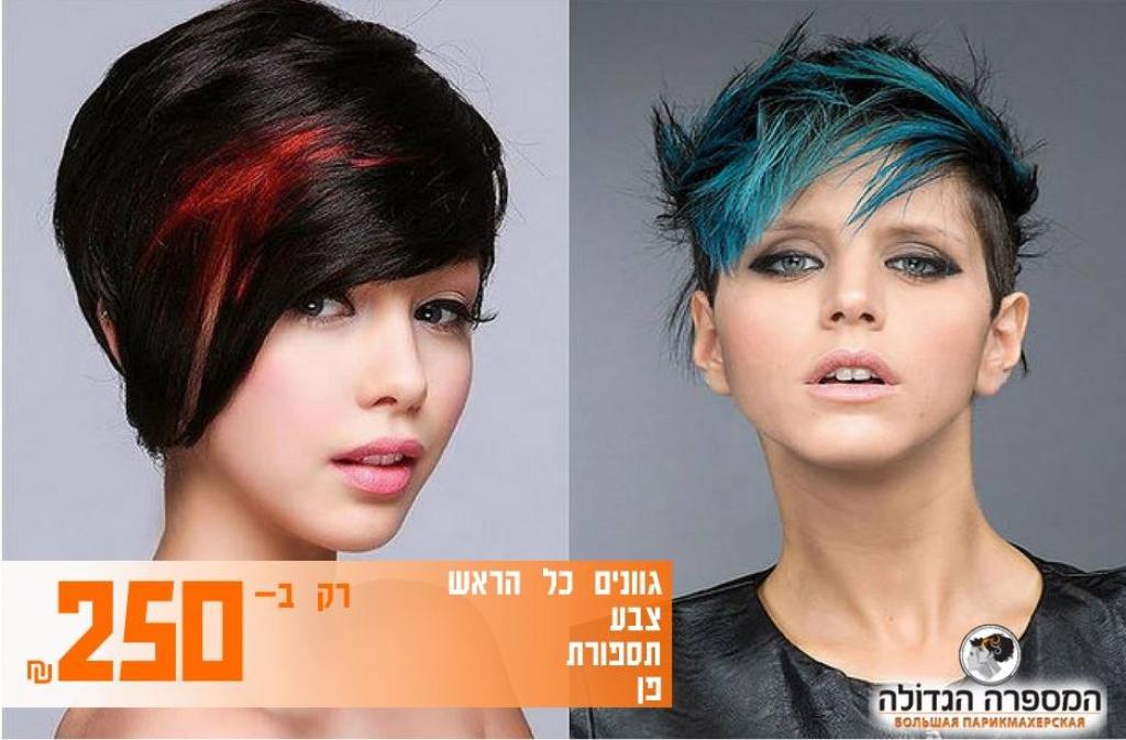 המספרה הגדולה המספרה הגדולה