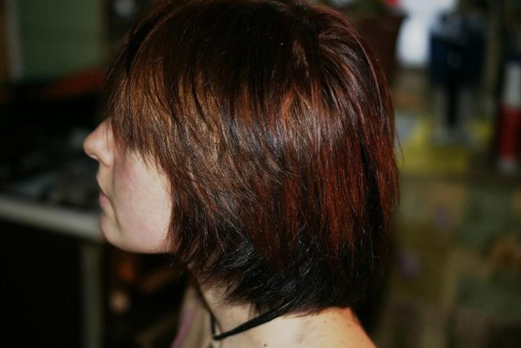 המספרה הגדולה המספרה הגדולה