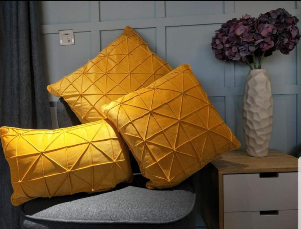 אור וצבע אביטל אור וצבע אביטל