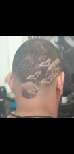 TOMI MEIR