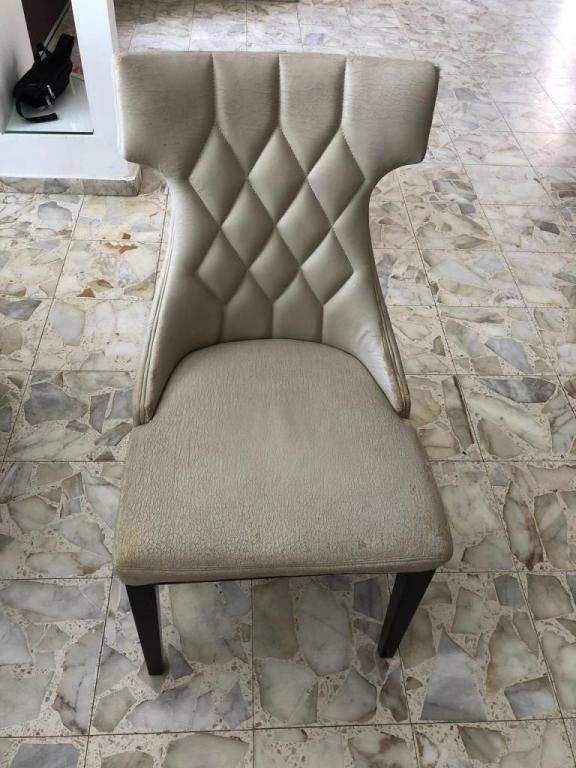 מרפדיית צ'מפיון קומפורט מרפדיית צ'מפיון קומפורט