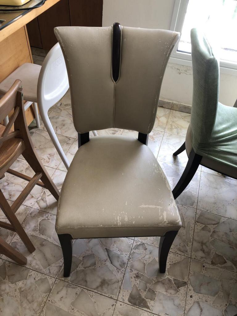 מרפדיית צ'מפיון קומפורט מרפדיית צ'מפיון קומפורט