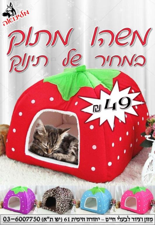 מלינואה מלינואה