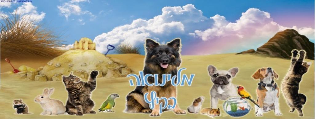 מלינואה מלינואה