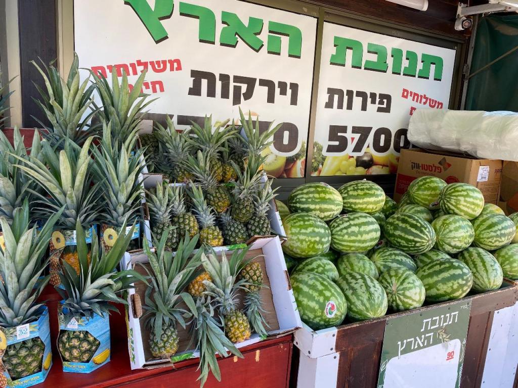 תנובת הארץ תנובת הארץ
