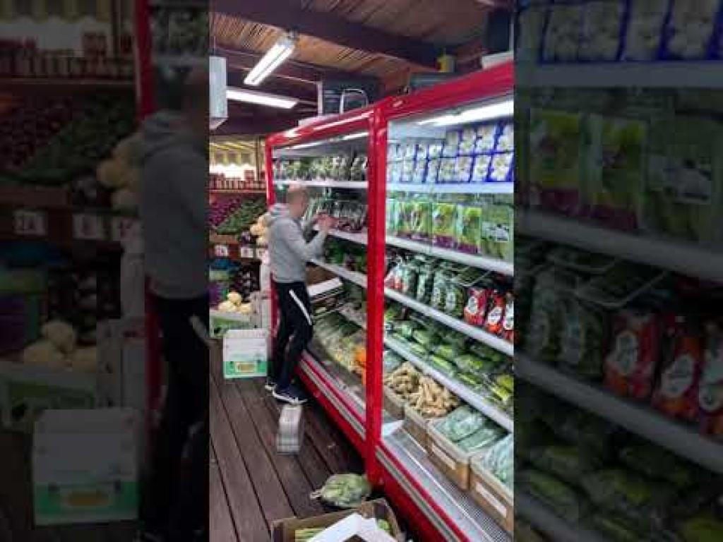 תנובת הארץ תנובת הארץ