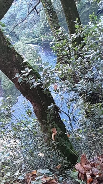 זוהר קפל זוהר קפל אימון שעושה הבדל זוהר קפל זוהר קפל אימון שעושה הבדל