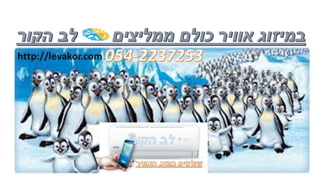 לב הקור לב הקור