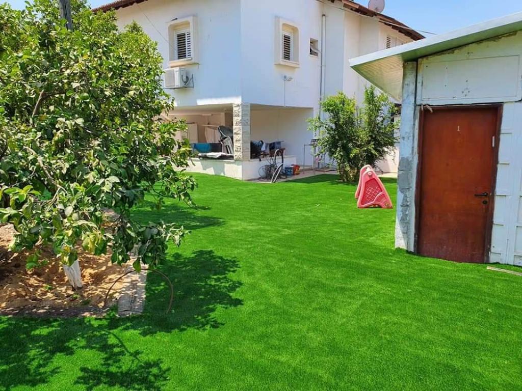 מיסטר דשא מיסטר דשא