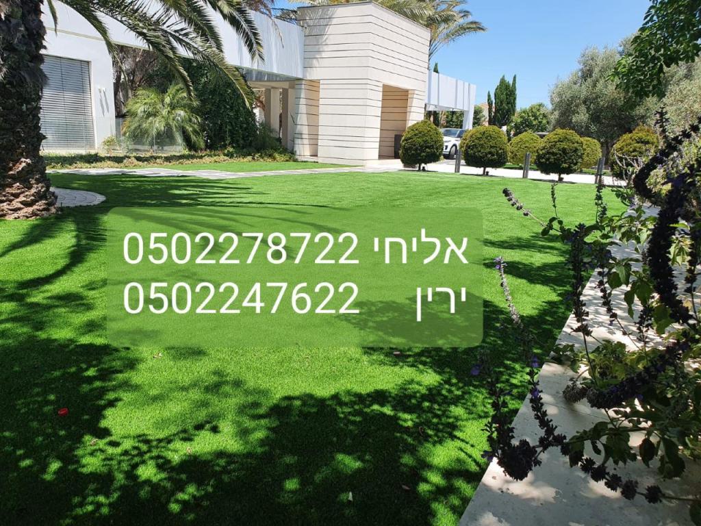 מיסטר דשא מיסטר דשא