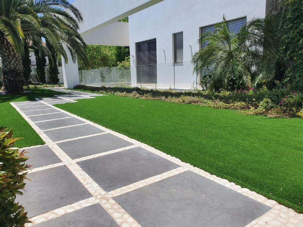 מיסטר דשא מיסטר דשא