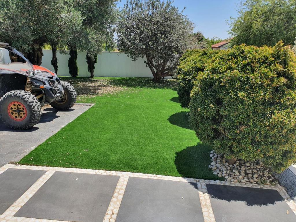 מיסטר דשא מיסטר דשא