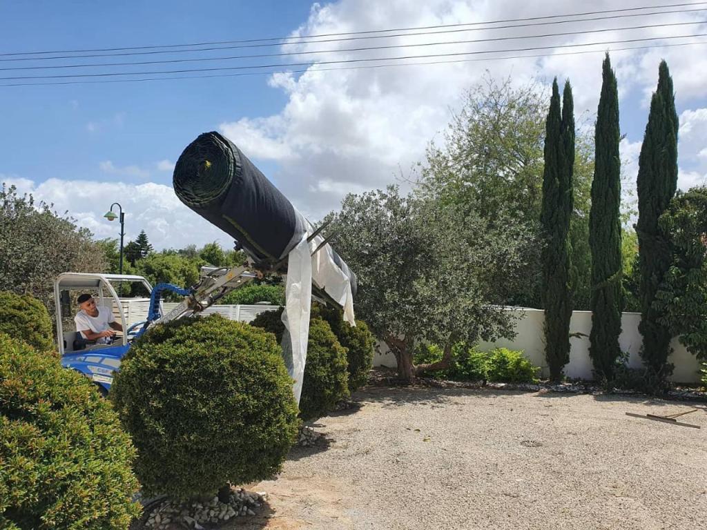 מיסטר דשא מיסטר דשא