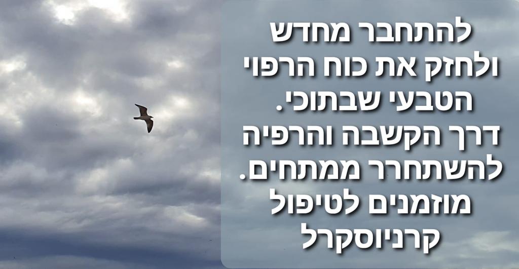 נדב וייסגלס טיפולי אורטופדיה סינית נדב וייסגלס טיפולי אורטופדיה סינית