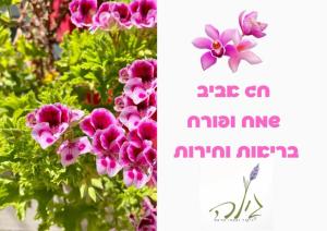 גילה דיקור וצמחי מרפא