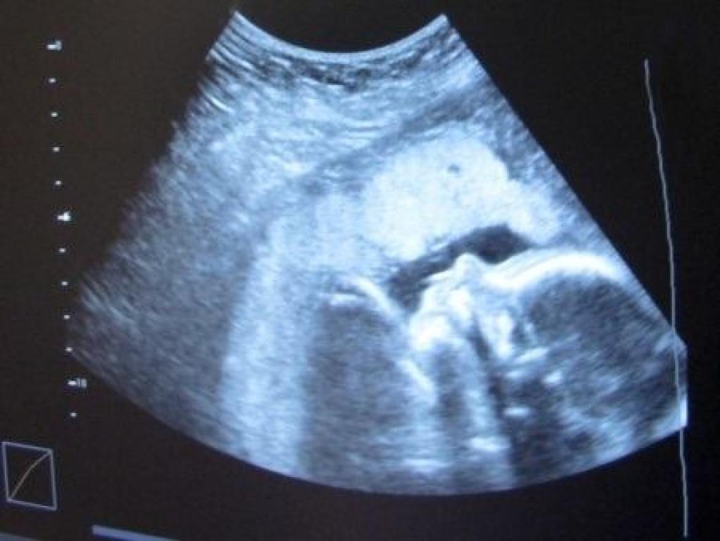 עו"ד דקואר עמאד עו"ד דקואר עמאד