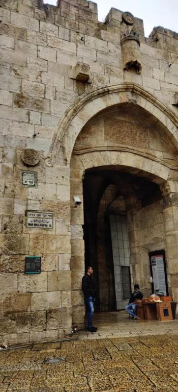 נורית הרץ וינר נורית הרץ וינר