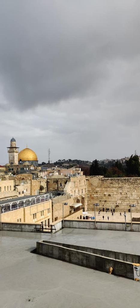 נורית הרץ וינר נורית הרץ וינר