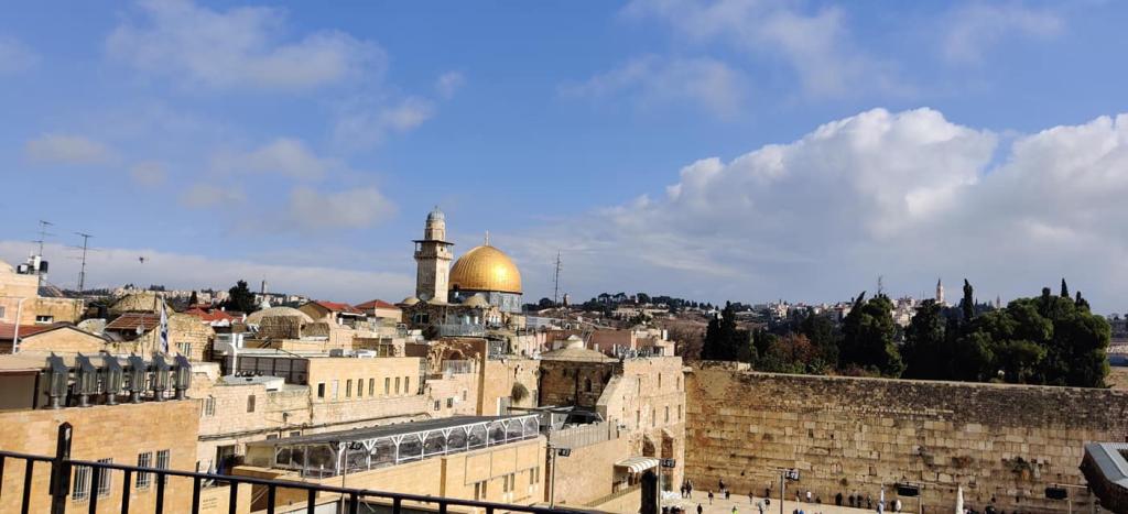 נורית הרץ וינר נורית הרץ וינר