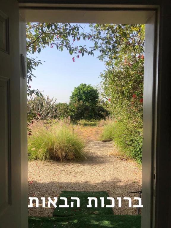 יוגה יאן יוגה יאן