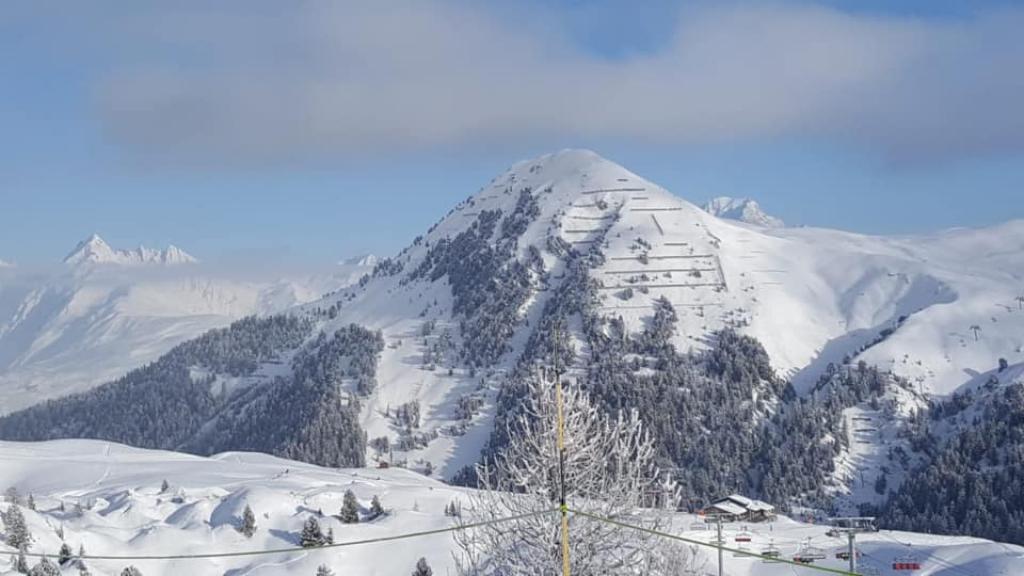 שביל היוגה שביל היוגה