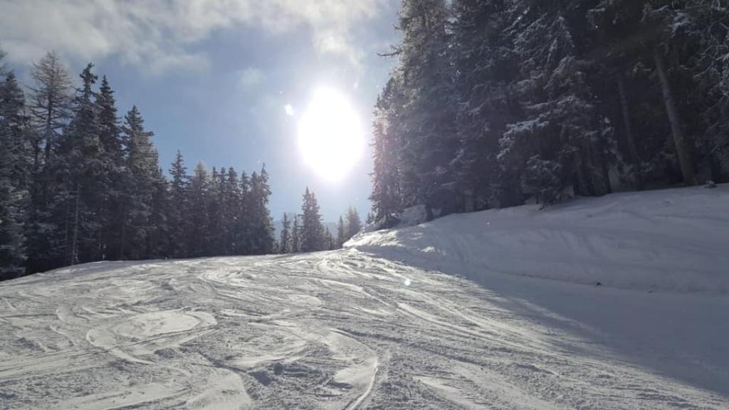 שביל היוגה שביל היוגה