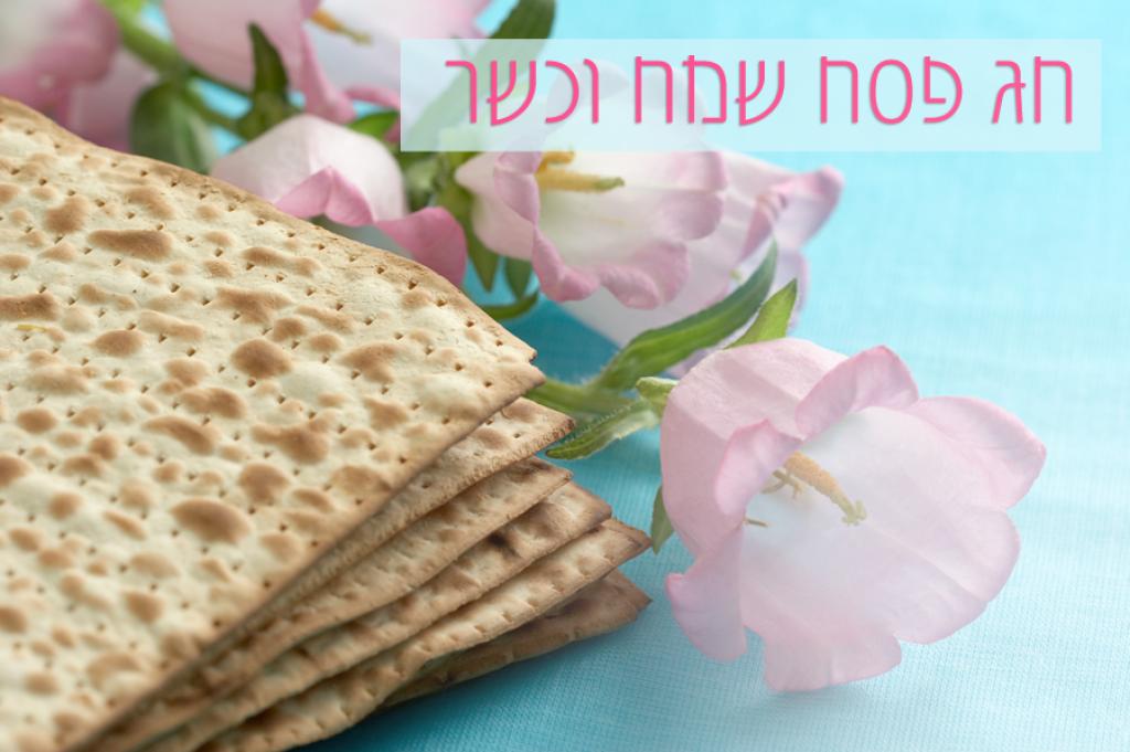 דלתות קמיליון דלתות קמיליון