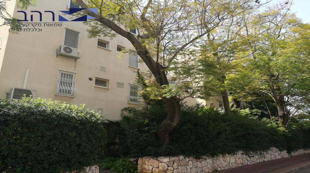 רהב איל רהב איל