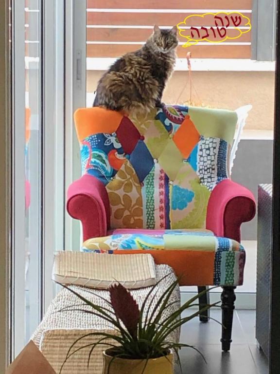 מרכז האיוקה מרכז האיוקה