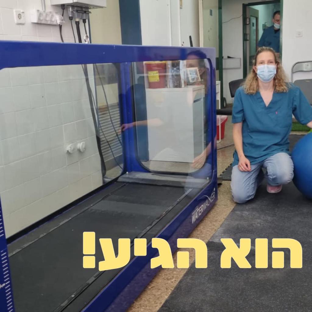 דר' שירה פסקו דר' שירה פסקו