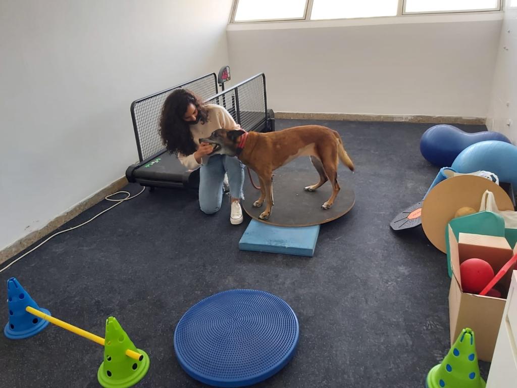 דר' שירה פסקו דר' שירה פסקו