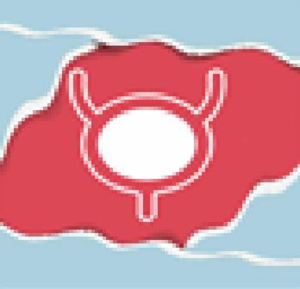 ד"ר ויינריב מיכאל ד"ר ויינריב מיכאל