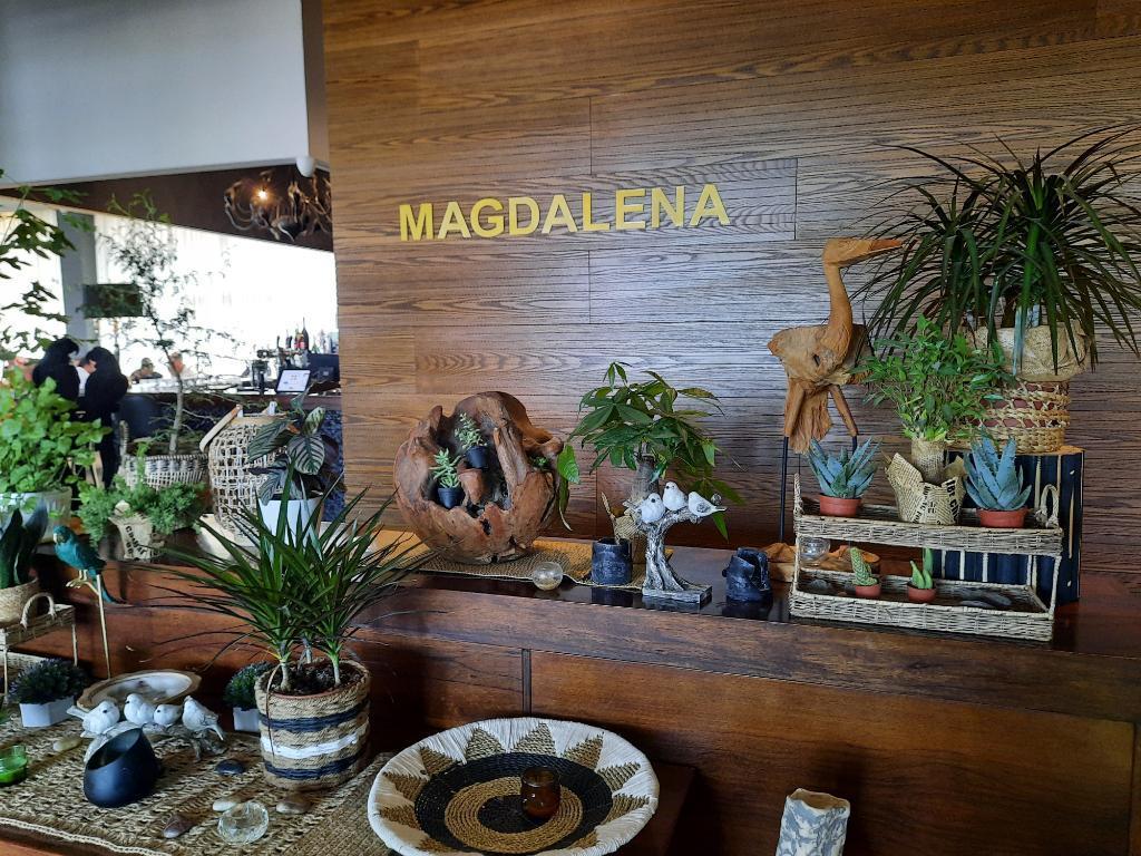 מגדלנה מגדלנה