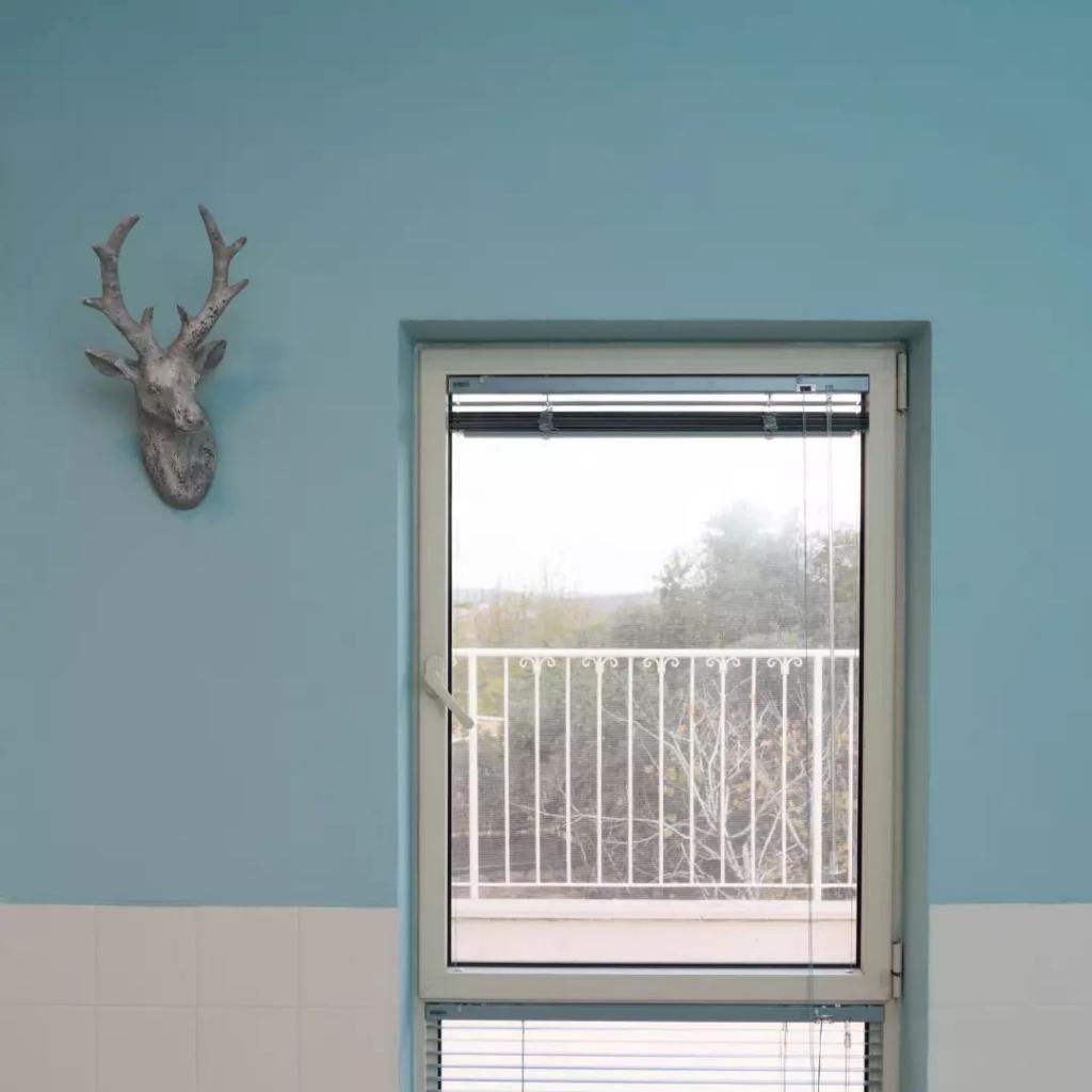 יוסי קאלו יוסי קאלו