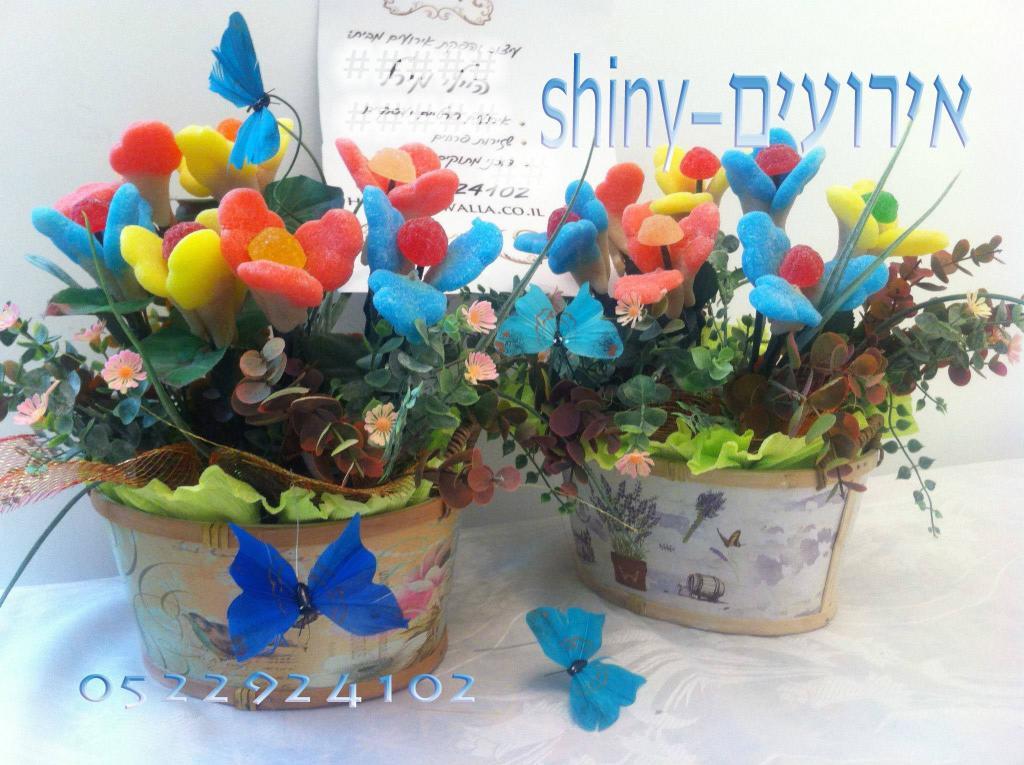 Shiny אירועים Shiny אירועים