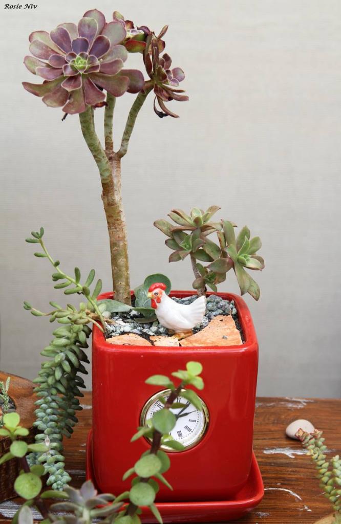 לב היער לב היער