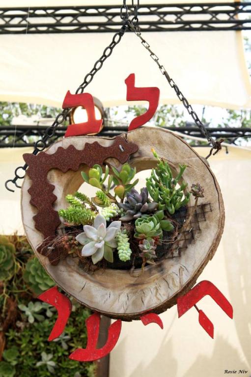 לב היער לב היער