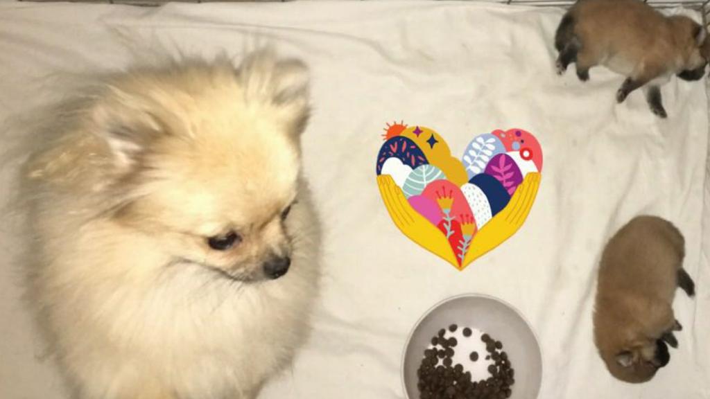 נעלי זול פה נעלי זול פה