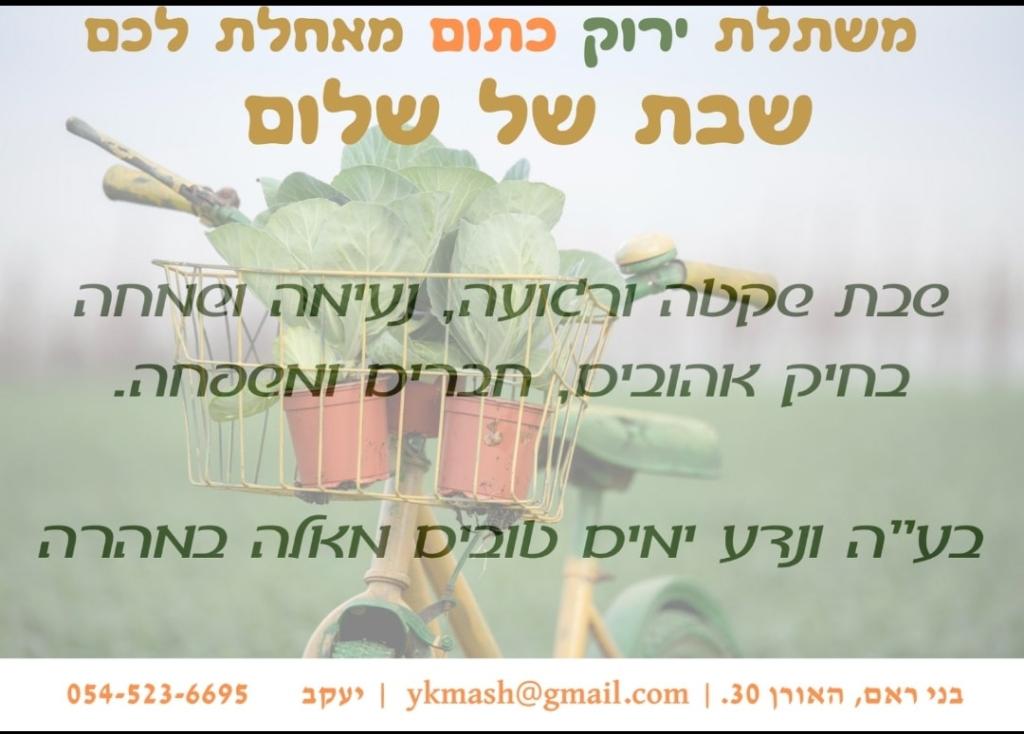 משתלת ירוק כתום משתלת ירוק כתום
